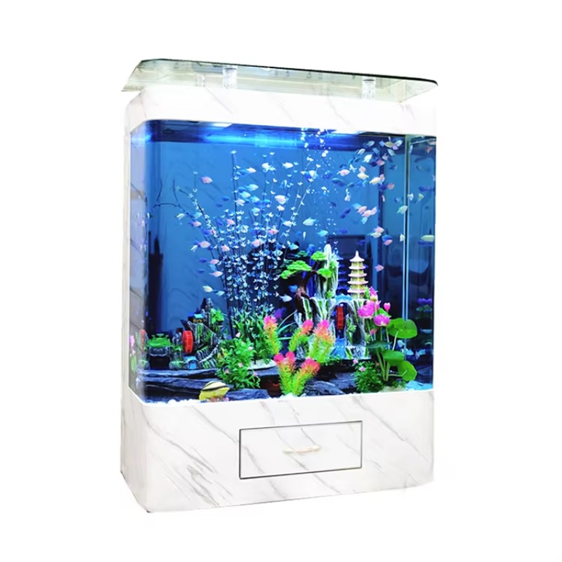 200 Galonluk Cam Balık Akvaryu - Marine Aquarium Design incelemesi ve fiyatı