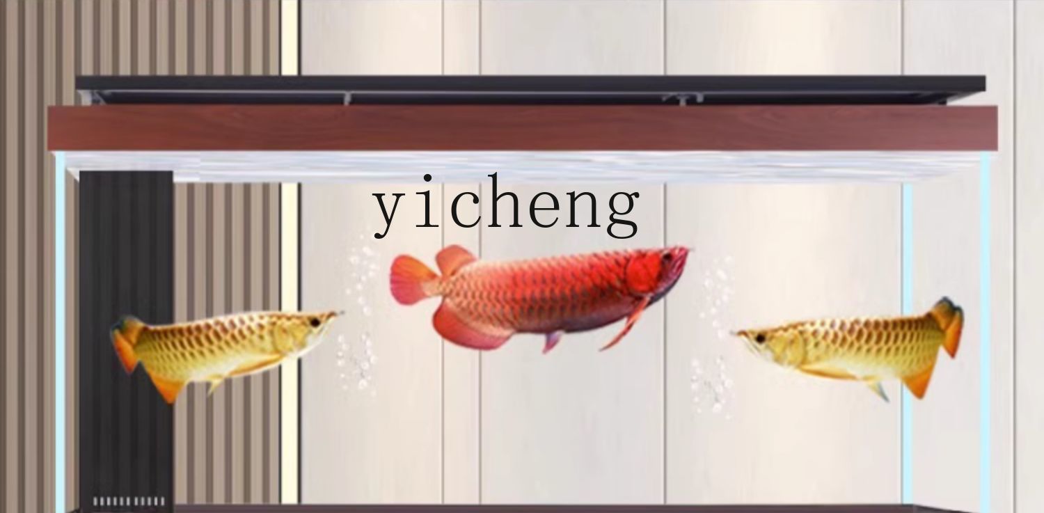 X8 arowana tankı akvaryum taba - Marine Aquarium With Sump incelemesi ve fiyatı