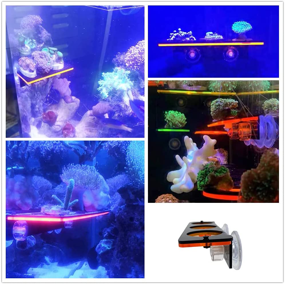 Floresan Mercan Frag Fiş Brake - Marine Aquarium Design incelemesi ve fiyatı