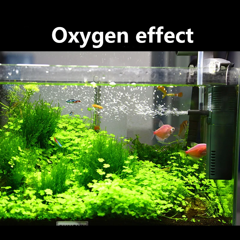 SUNSUN mini nano 111B 311B 611 - Marine Aquarium Design incelemesi ve fiyatı